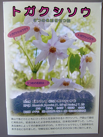 f:id:Naturalhistory:20150327152649j:image
