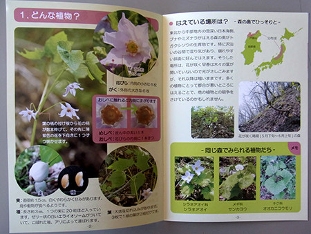 f:id:Naturalhistory:20150327152734j:image