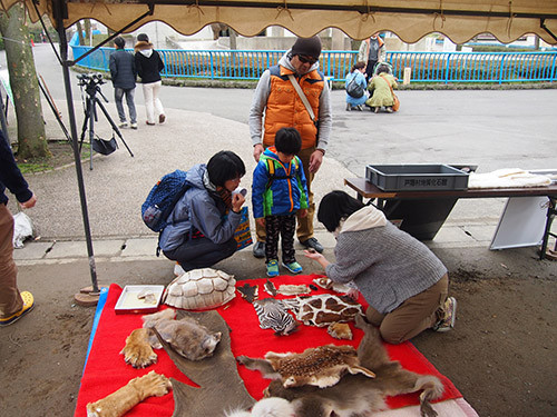 f:id:Naturalhistory:20150411135517j:image