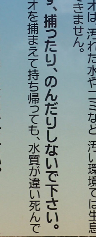 f:id:Naturalhistory:20150411180348j:image