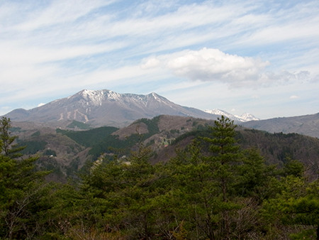 f:id:Naturalhistory:20150422105301j:image