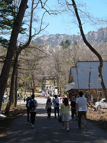 f:id:Naturalhistory:20150505122553j:image