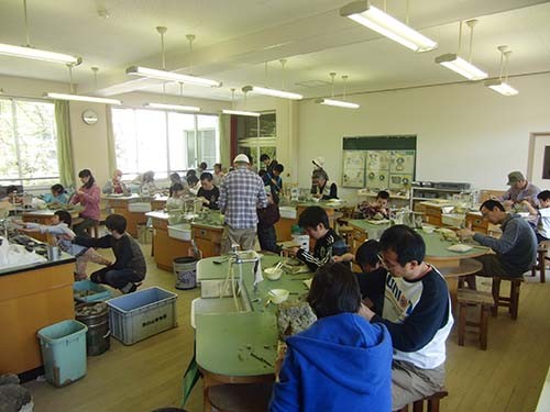 f:id:Naturalhistory:20150505134509j:image