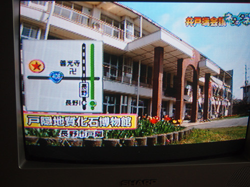 f:id:Naturalhistory:20150520171540j:image