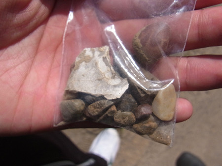 f:id:Naturalhistory:20150710144152j:image