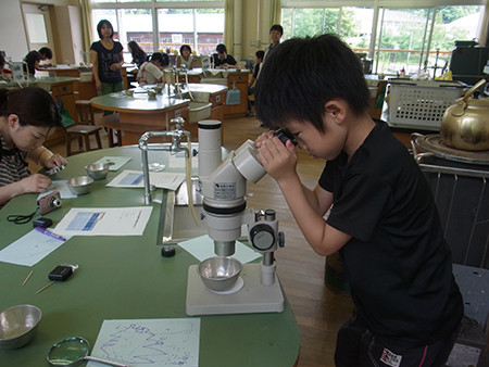 f:id:Naturalhistory:20150719135929j:image