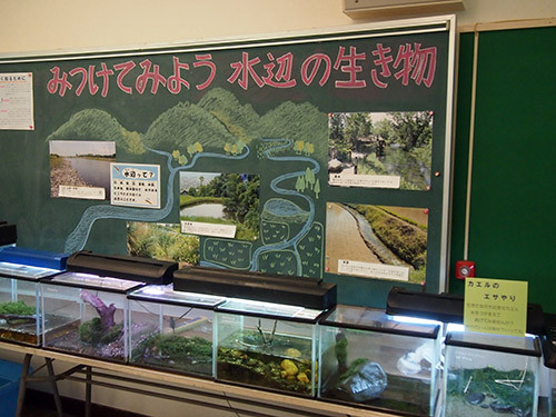 f:id:Naturalhistory:20150720171023j:image
