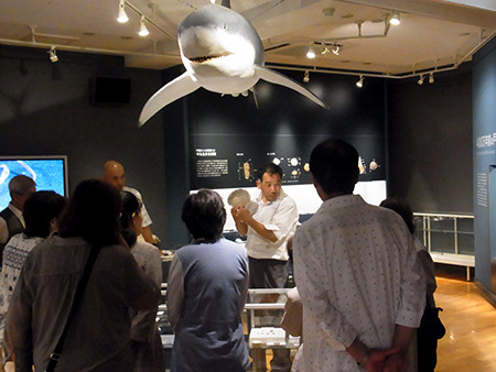 f:id:Naturalhistory:20150722143044j:image