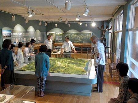 f:id:Naturalhistory:20150722144314j:image