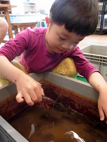 f:id:Naturalhistory:20150724113733j:image