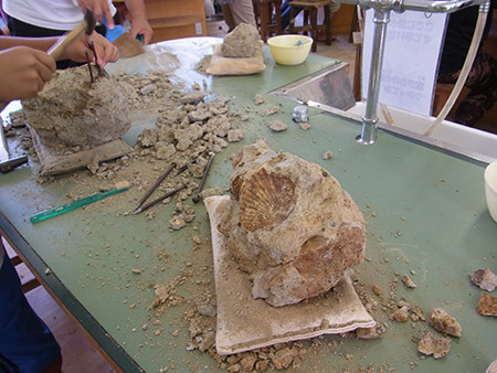 f:id:Naturalhistory:20150809113740j:image