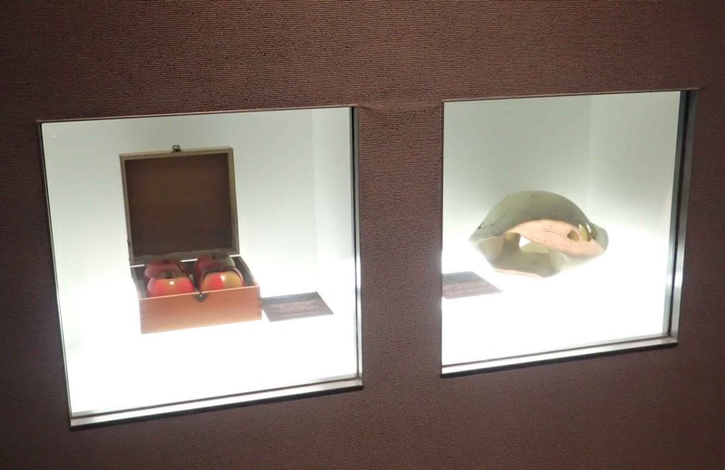f:id:Naturalhistory:20150811114141j:image:w480