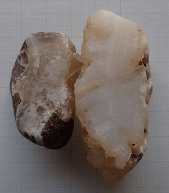 f:id:Naturalhistory:20150813171604j:image:w640