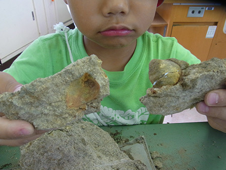 f:id:Naturalhistory:20150823110337j:image