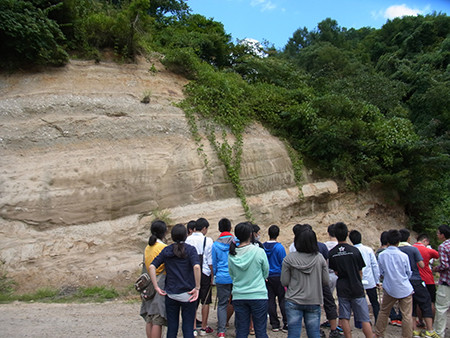 f:id:Naturalhistory:20150828081049j:image f:id:Naturalhistory:20150828081049j:image