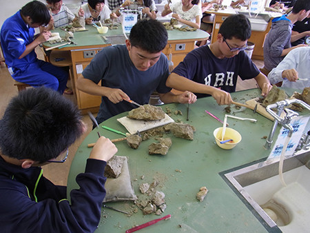 f:id:Naturalhistory:20150828102133j:image f:id:Naturalhistory:20150828102133j:image