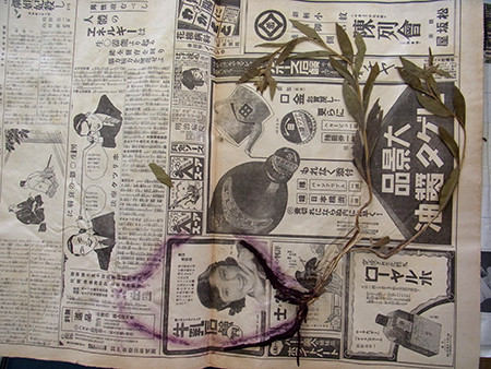 f:id:Naturalhistory:20150904085709j:image