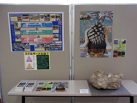 f:id:Naturalhistory:20150910121020j:image