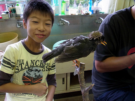 f:id:Naturalhistory:20150921122125j:image