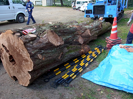 f:id:Naturalhistory:20151006094640j:image f:id:Naturalhistory:20151006094640j:image