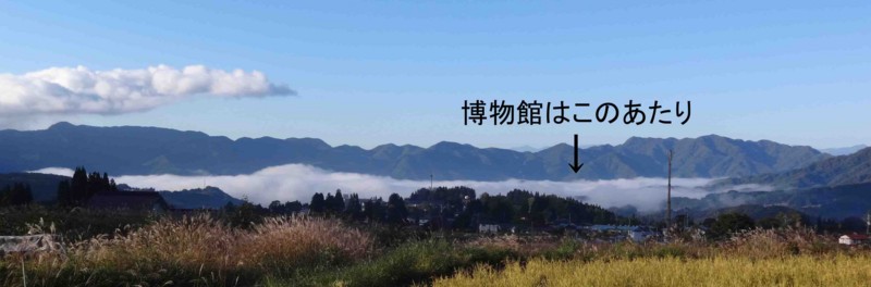 f:id:Naturalhistory:20151007070207j:image