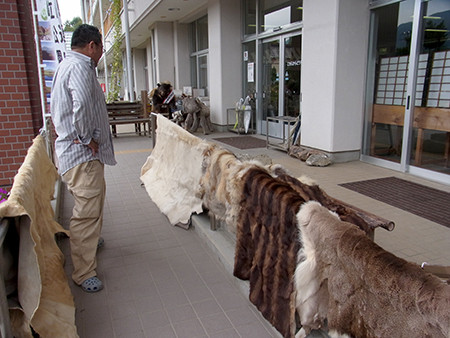 f:id:Naturalhistory:20151010102730j:image