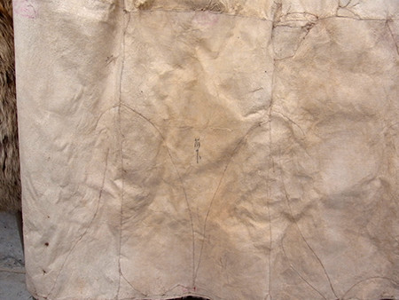 f:id:Naturalhistory:20151010102812j:image