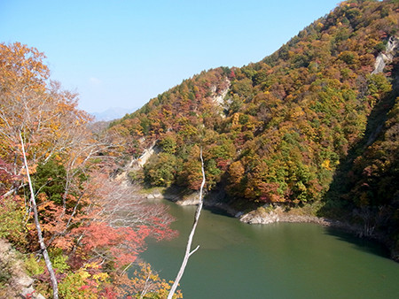 f:id:Naturalhistory:20151020084305j:image
