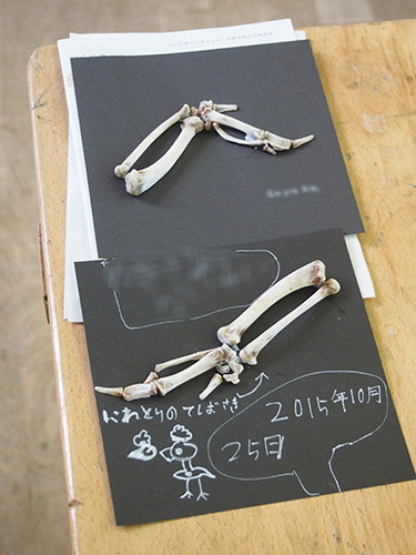 f:id:Naturalhistory:20151025145127j:image