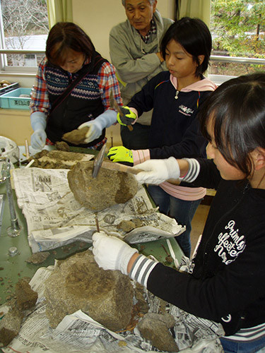 f:id:Naturalhistory:20151031131329j:image