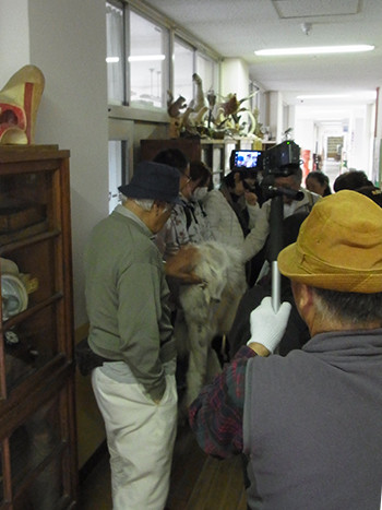 f:id:Naturalhistory:20151103073508j:image