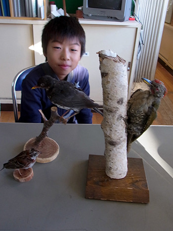 f:id:Naturalhistory:20151103125051j:image