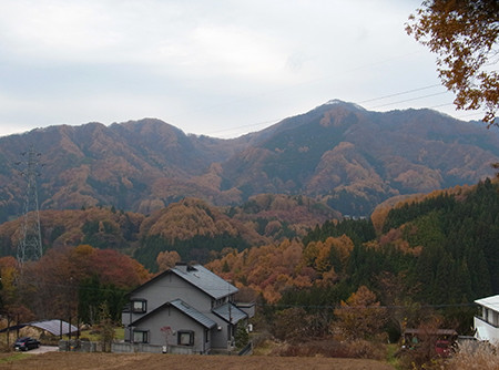 f:id:Naturalhistory:20151107103055j:image