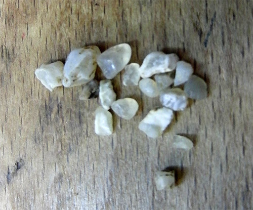 f:id:Naturalhistory:20151110172546j:image