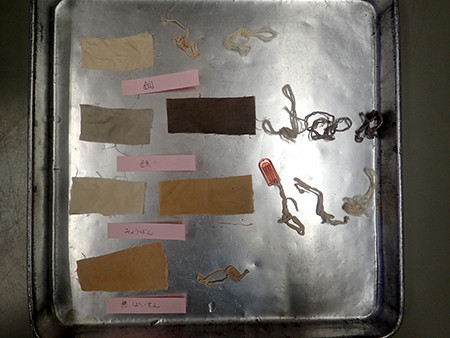f:id:Naturalhistory:20151127162201j:image