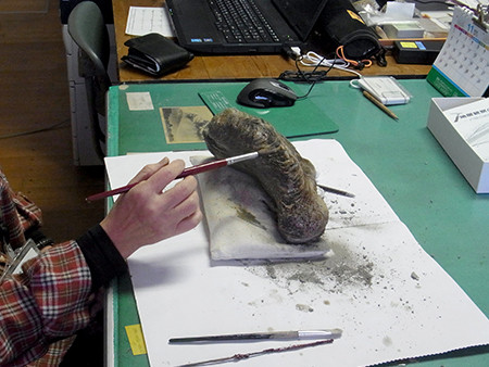 f:id:Naturalhistory:20151128124022j:image