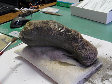 f:id:Naturalhistory:20151128124056j:image
