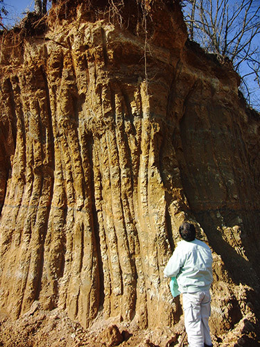 f:id:Naturalhistory:20151203114639j:image:w480