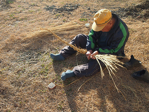 f:id:Naturalhistory:20151212150726j:image f:id:Naturalhistory:20151212150726j:image