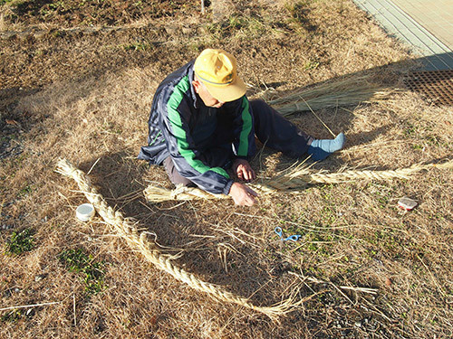 f:id:Naturalhistory:20151212151935j:image f:id:Naturalhistory:20151212151935j:image