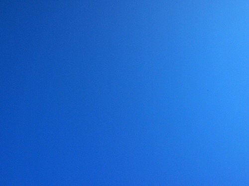 f:id:Naturalhistory:20151212152020j:image f:id:Naturalhistory:20151212152020j:image