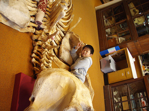 f:id:Naturalhistory:20151213141926j:image