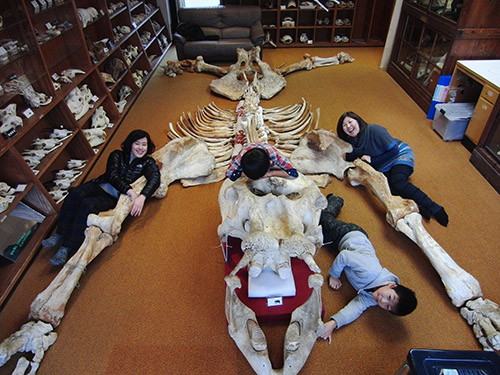 f:id:Naturalhistory:20151214141728j:image
