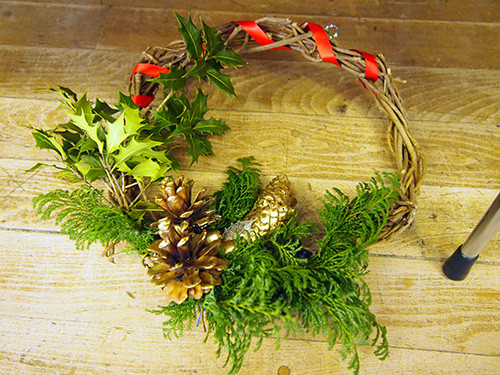 f:id:Naturalhistory:20151219151721j:image