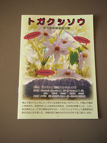 f:id:Naturalhistory:20151227120124j:image