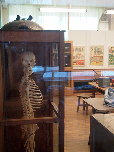 f:id:Naturalhistory:20160315171317j:image