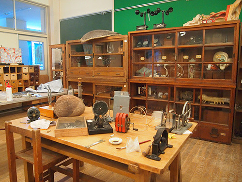 f:id:Naturalhistory:20160315171356j:image