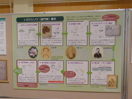 f:id:Naturalhistory:20160319122540j:image f:id:Naturalhistory:20160319122540j:image