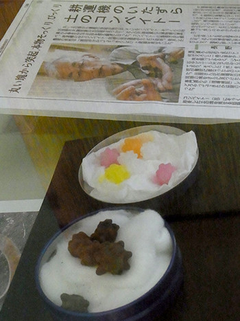 f:id:Naturalhistory:20160502134549j:image