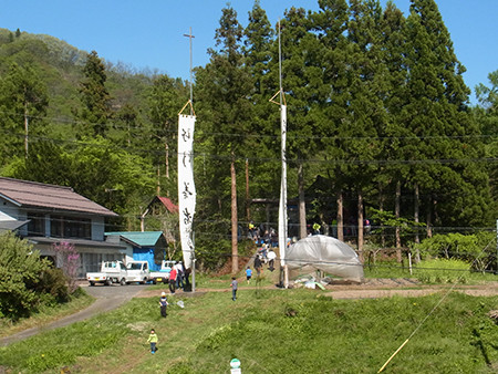 f:id:Naturalhistory:20160504114331j:image